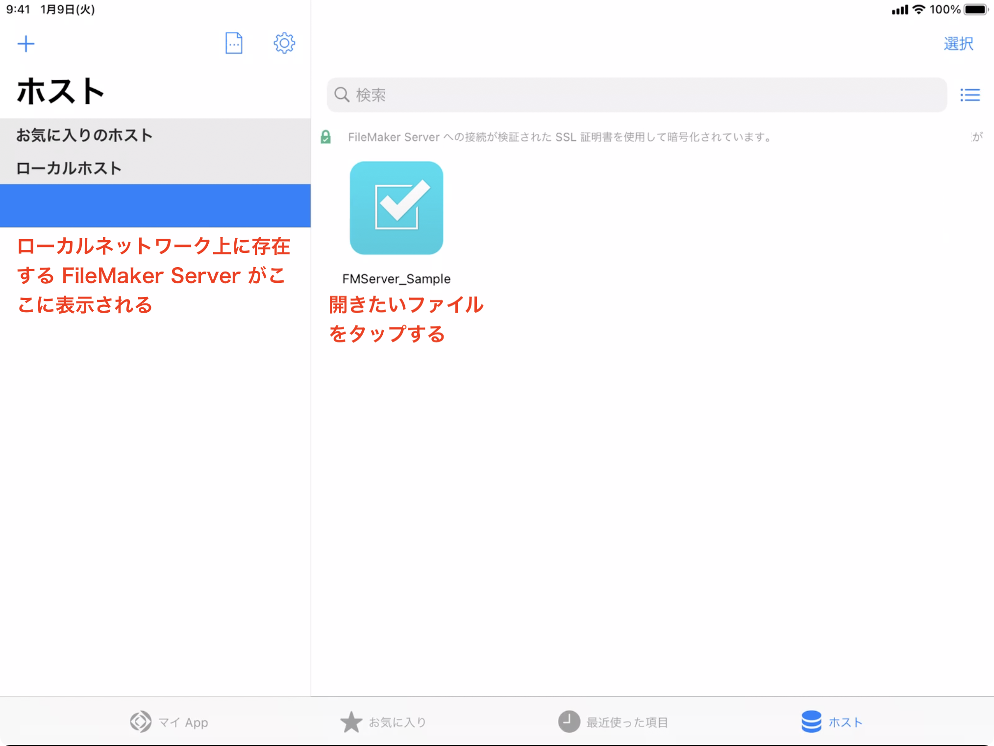 ホストされたファイルを Filemaker Go で開く